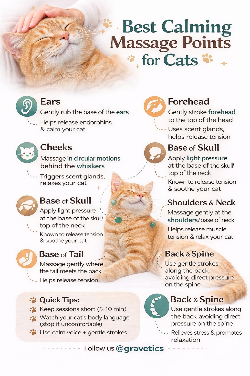 Image result for Gravetics - Best calming massage spots for cats 🐾😺 (gentle... | Facebook