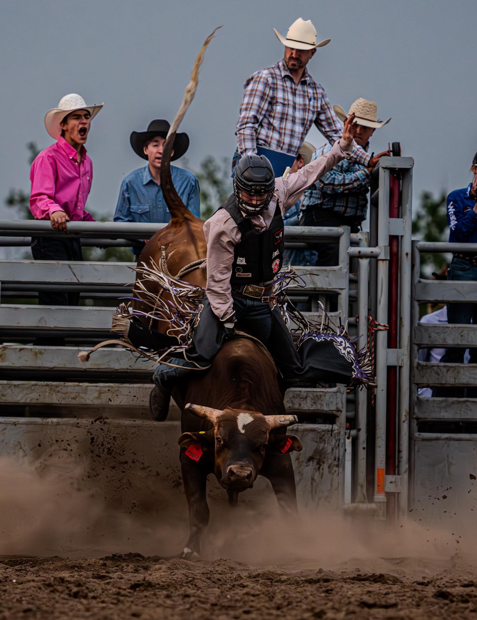 B. Martin Photography