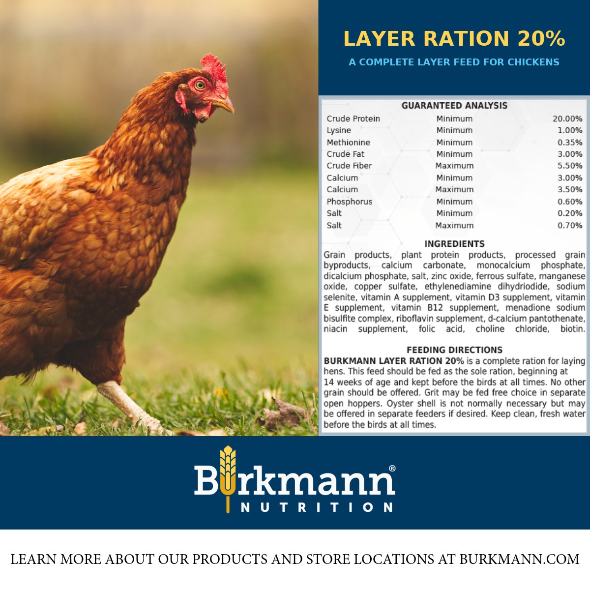 Why wing it when talking... - Burkmann Nutrition Danville | Facebook