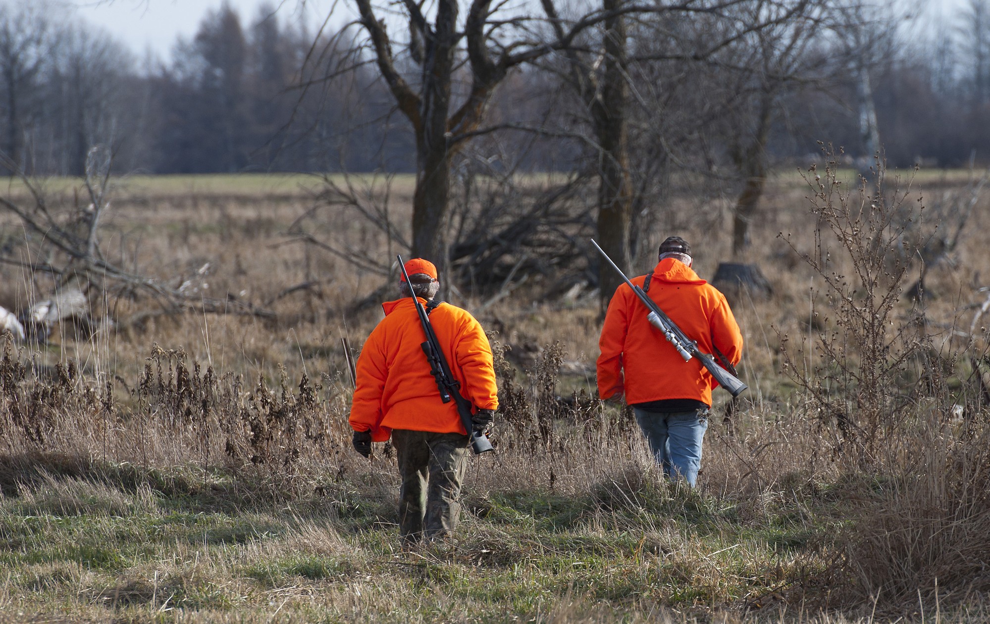 Porcupine - Big game hunters headed into the woods this morning as New ...