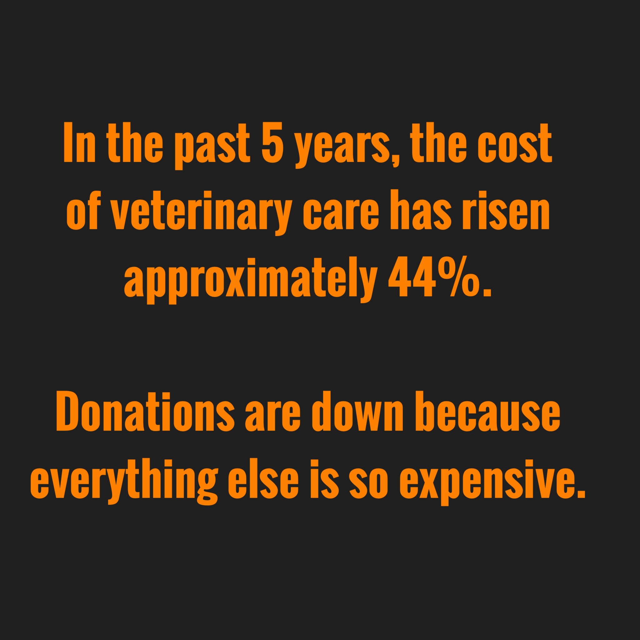 We are devastated that we are here. Dogs are being euthanized