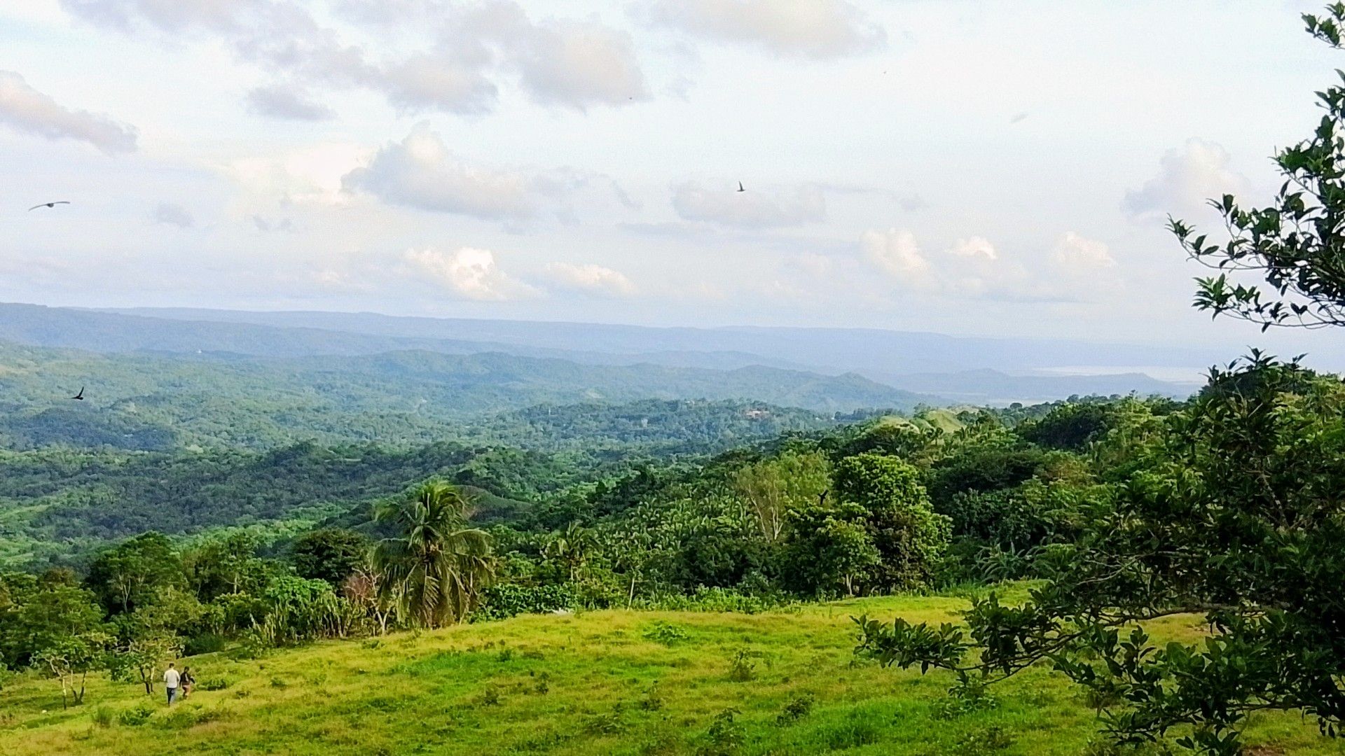 Barbie Rizal Overlooking Lots