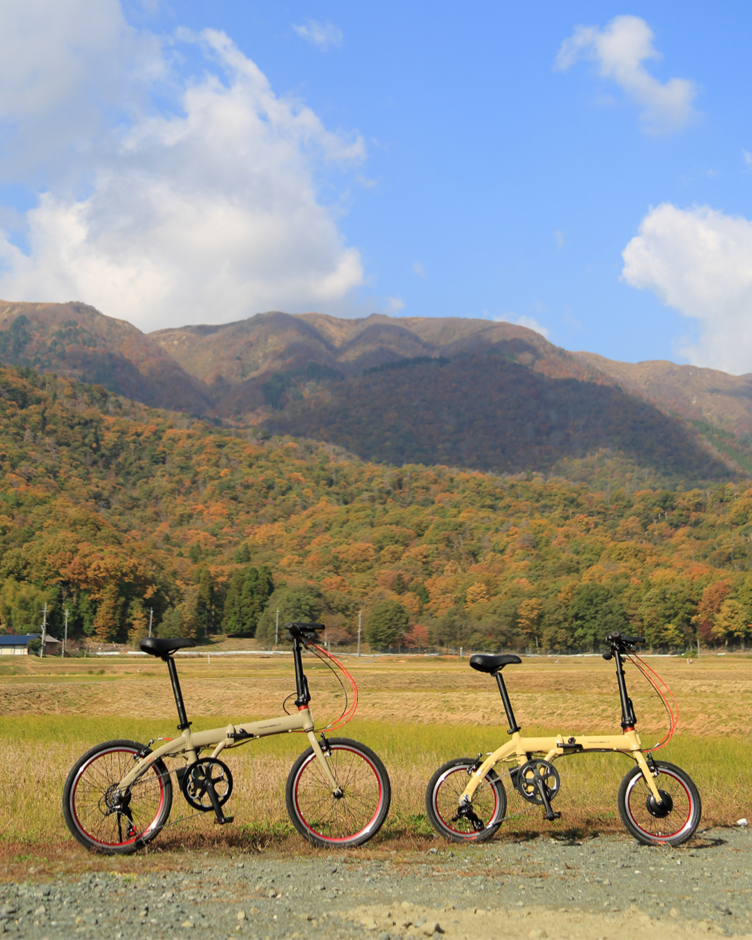 【新カラー登場！】 持ち運ぶためにつくられた電動アシスト自転車🚲 TRANS... - Gic-bike（ジックバイク） | Facebook