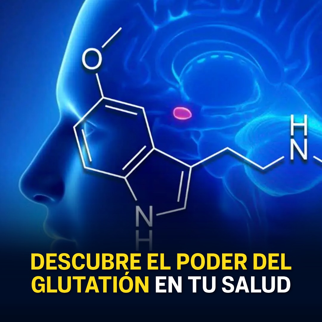 glutathione significado en español Sabías que el glutatión es clave para tu salud? Sin él, tu cuerpo se vuelve vulnerable Packaging:50 mL Silver Airless Bottle L-Glutathion reduziert I L whitening-gluta-bar-cleanser