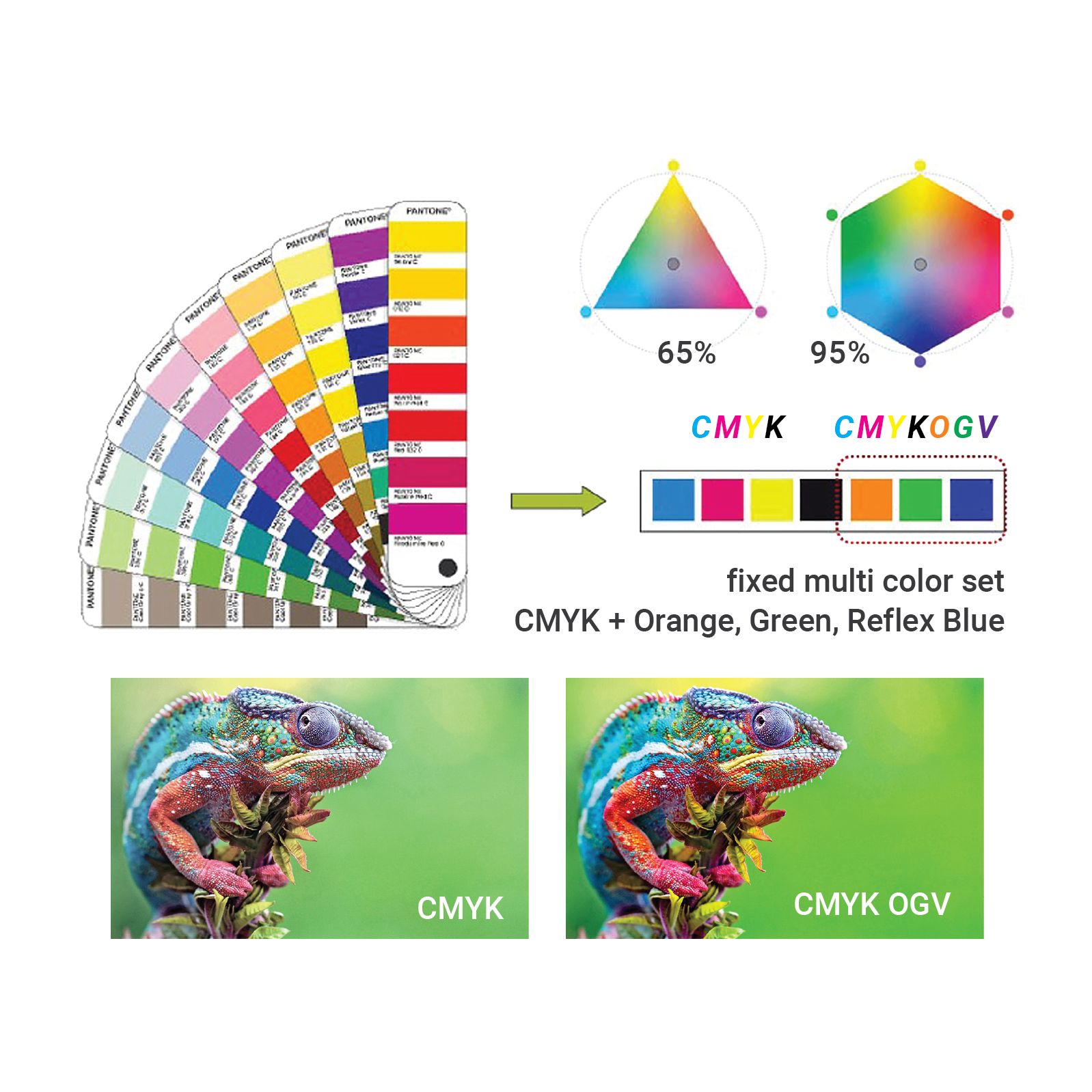 Expanded Color Gamut printing (ECG)... - Mắt Phổ Consulting | Facebook