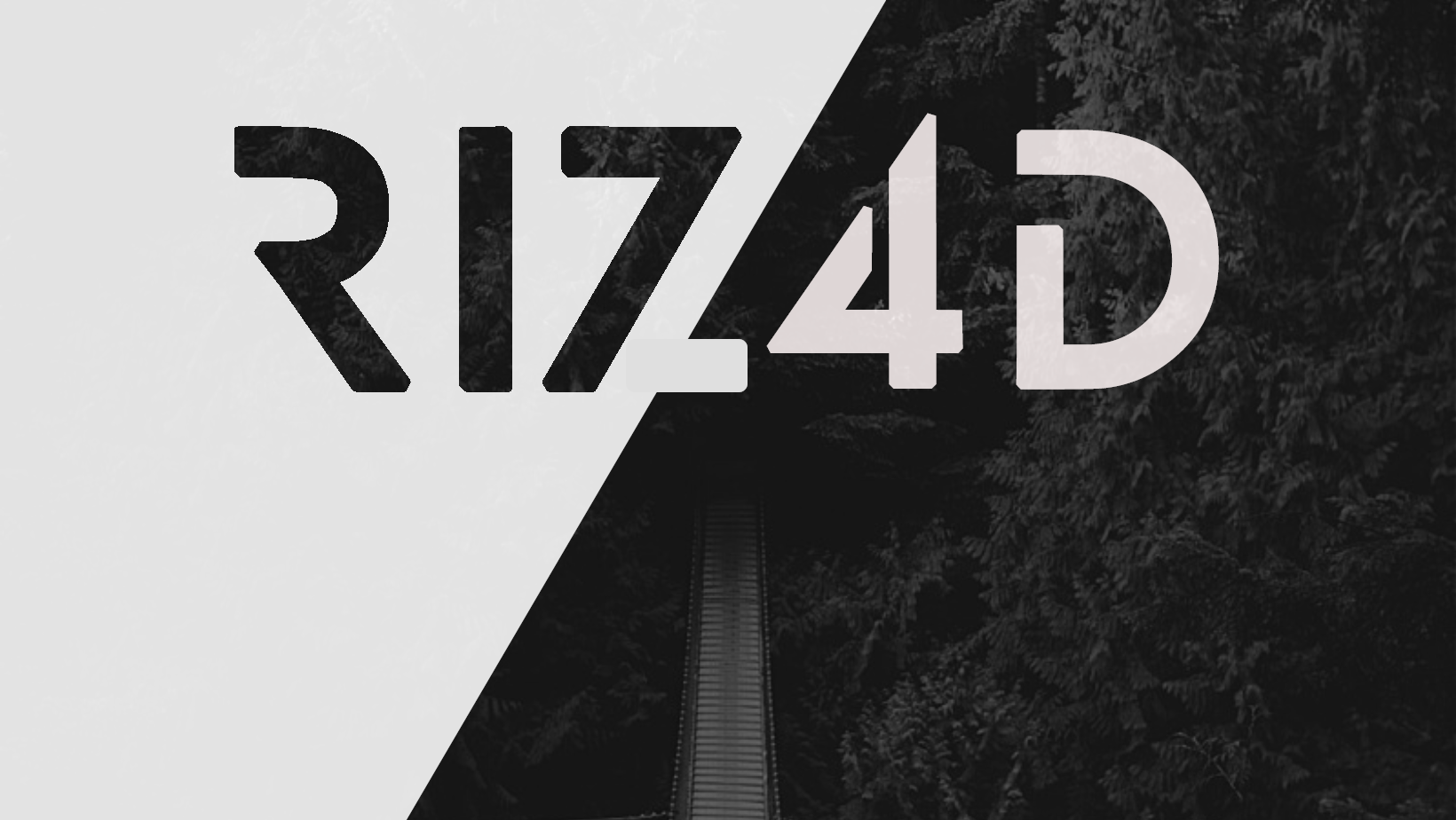 Rizad Mohamed