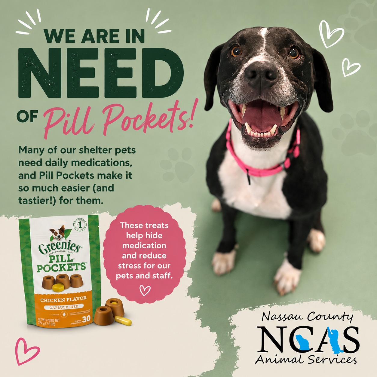 We appreciate your generosity and support! We have attached our
