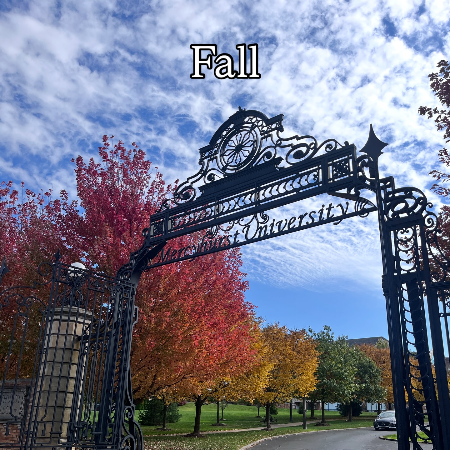 Mercyhurst International Student Office | Erie PA