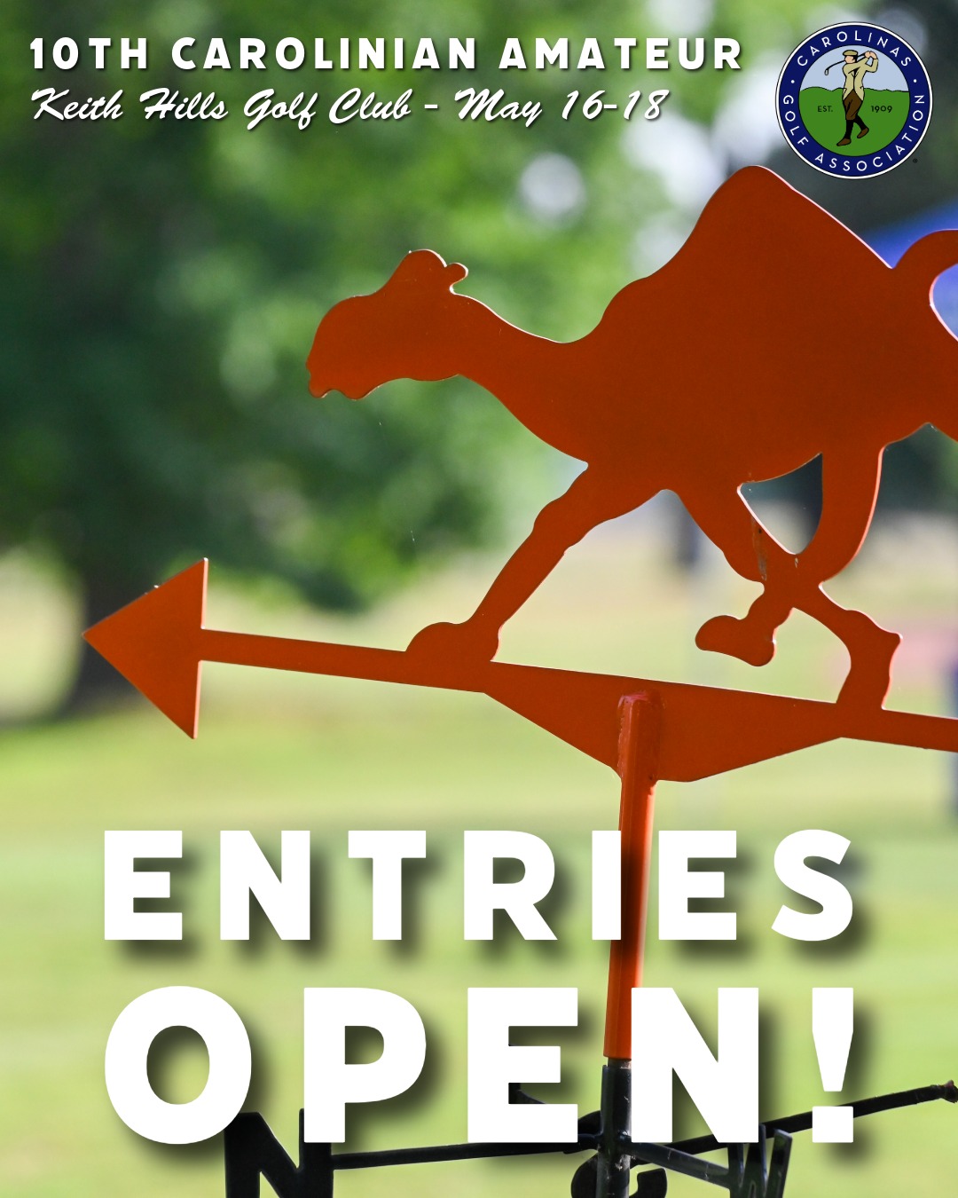 Carolinas Golf Association - 📣 Entries Now Open!📣 The 10th Carolinian ...