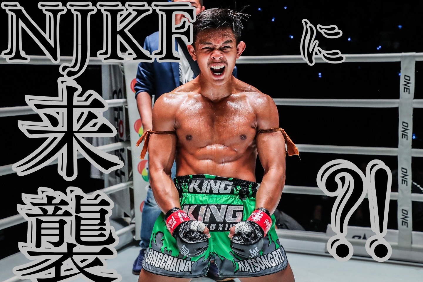 ボクシング K NJKF ニュージャパンキックボクシング連盟