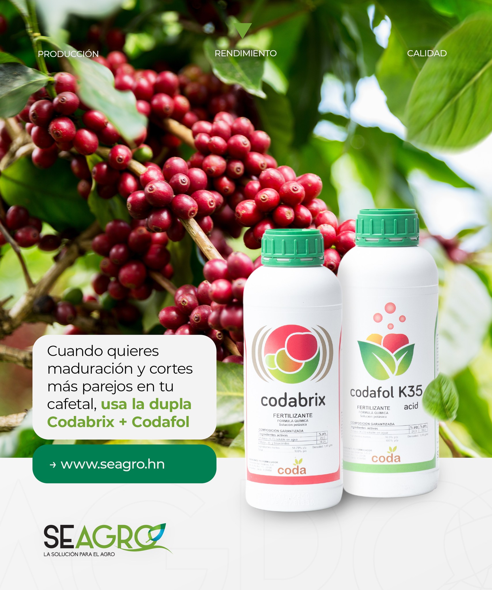SEAGRO - 🌿 Krystaal: Nutrición y Eficiencia para tus... | Facebook