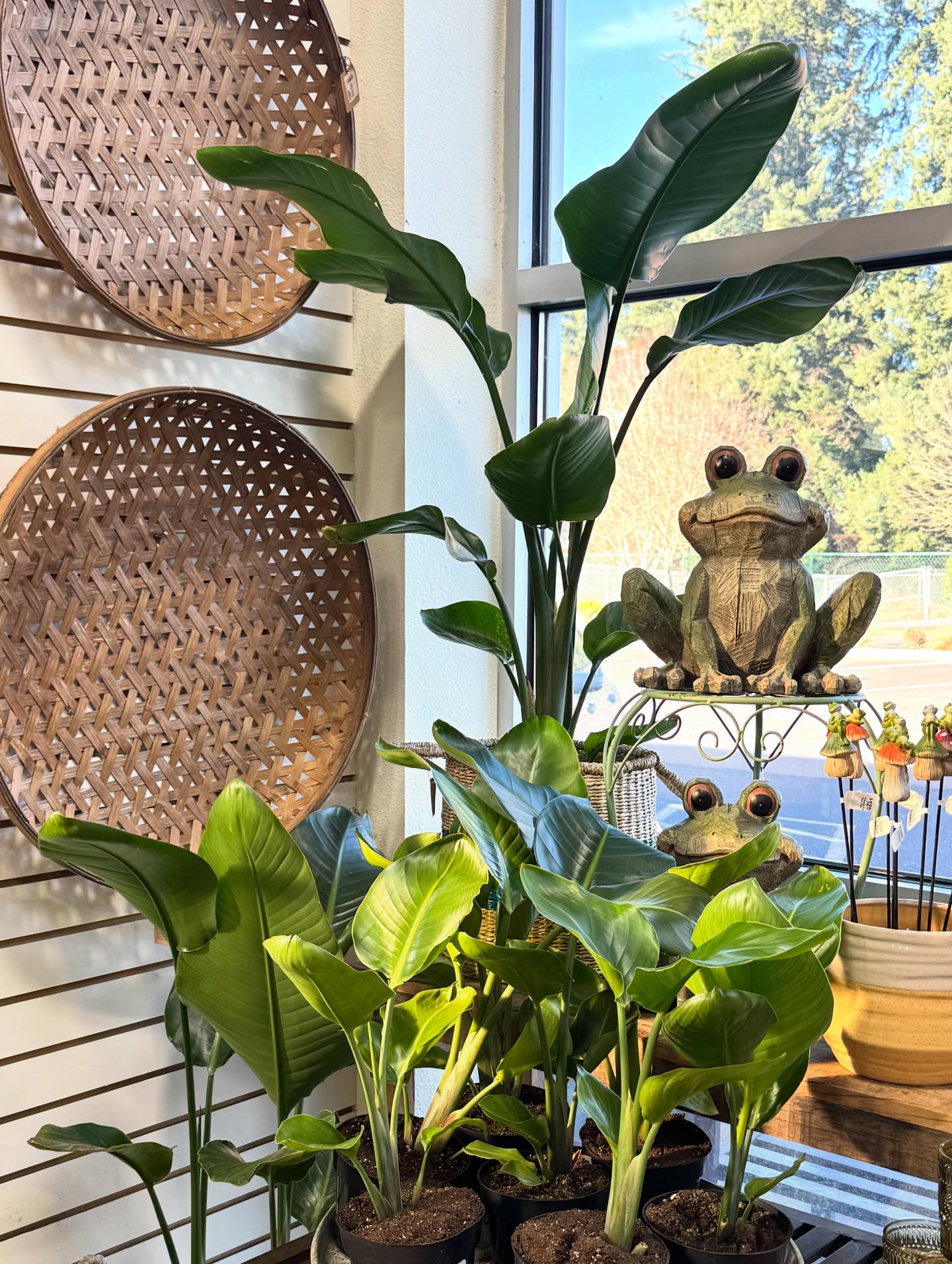 Gallery image with a fresh perspective