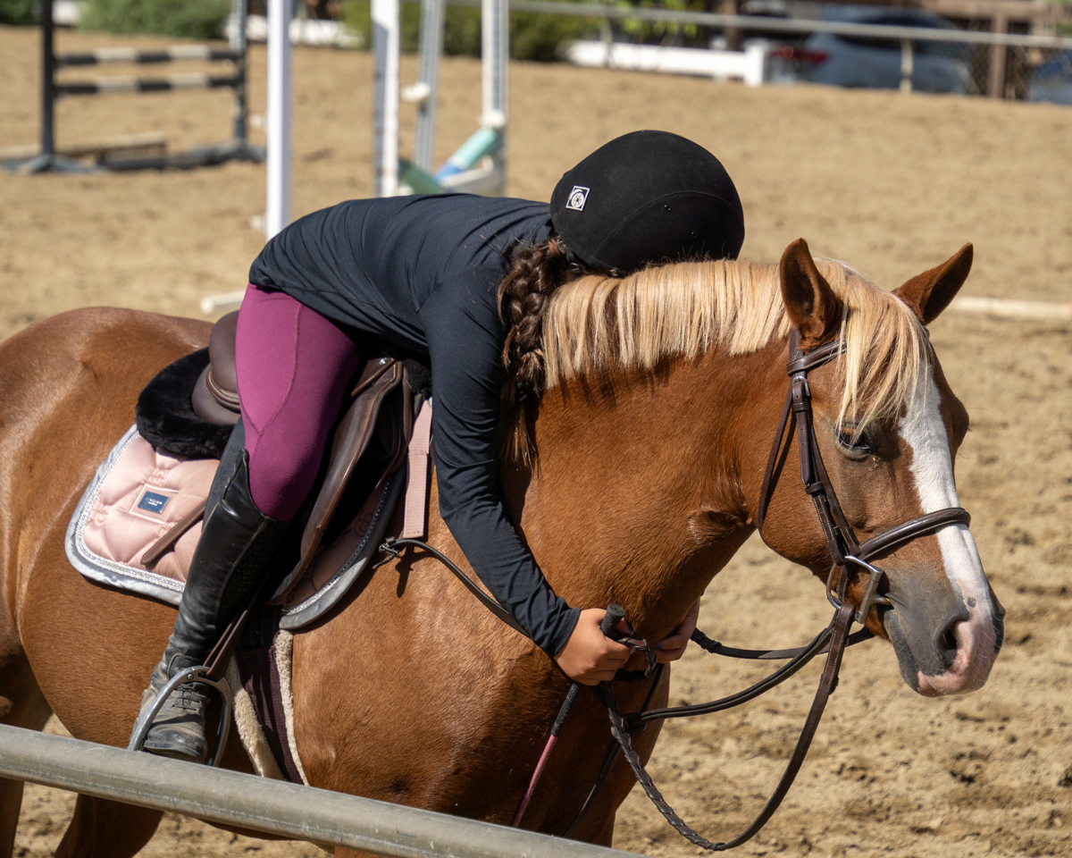 Peacock Hill Equestrian Center | Orange CA