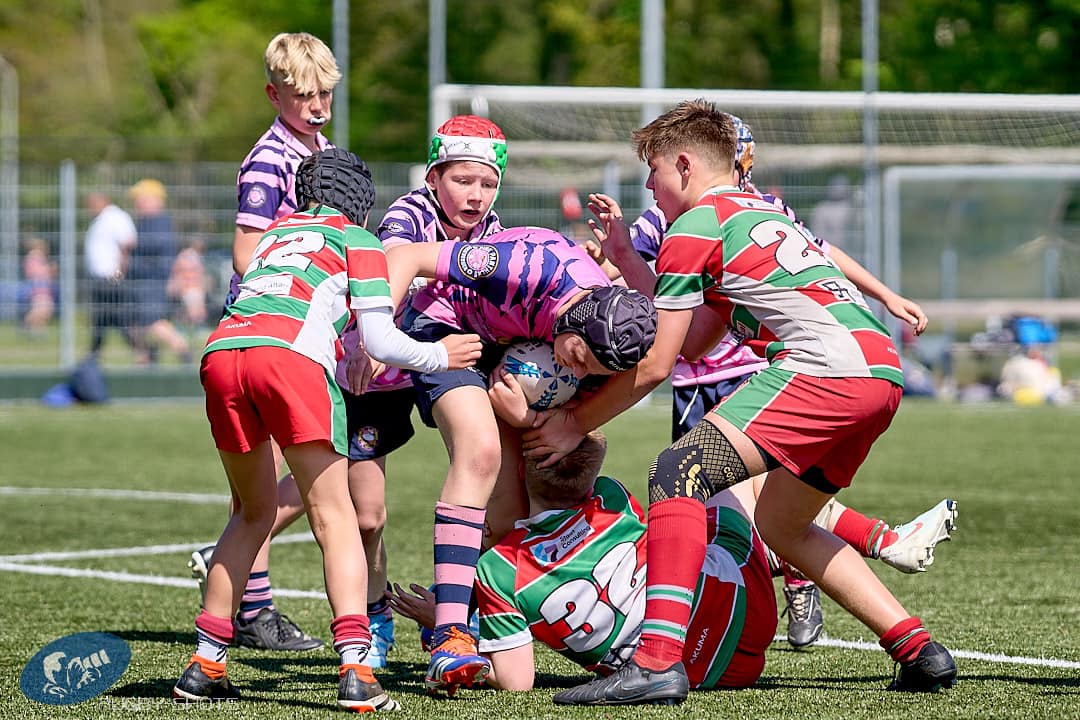 RC The Pink Panthers