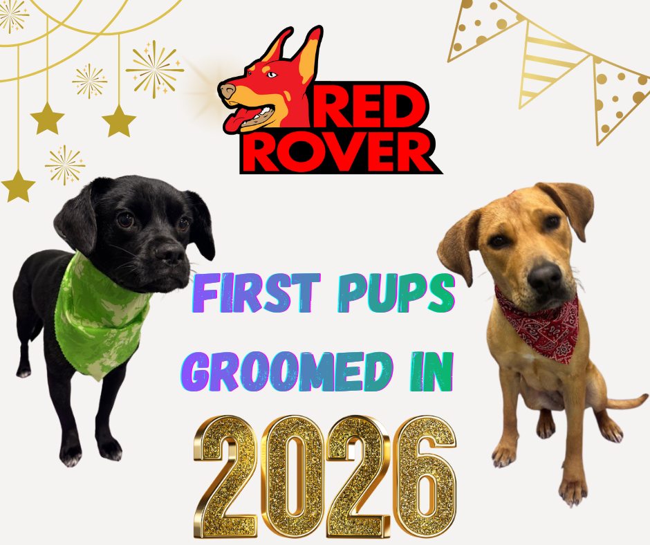 Red Rover | Bossier City LA