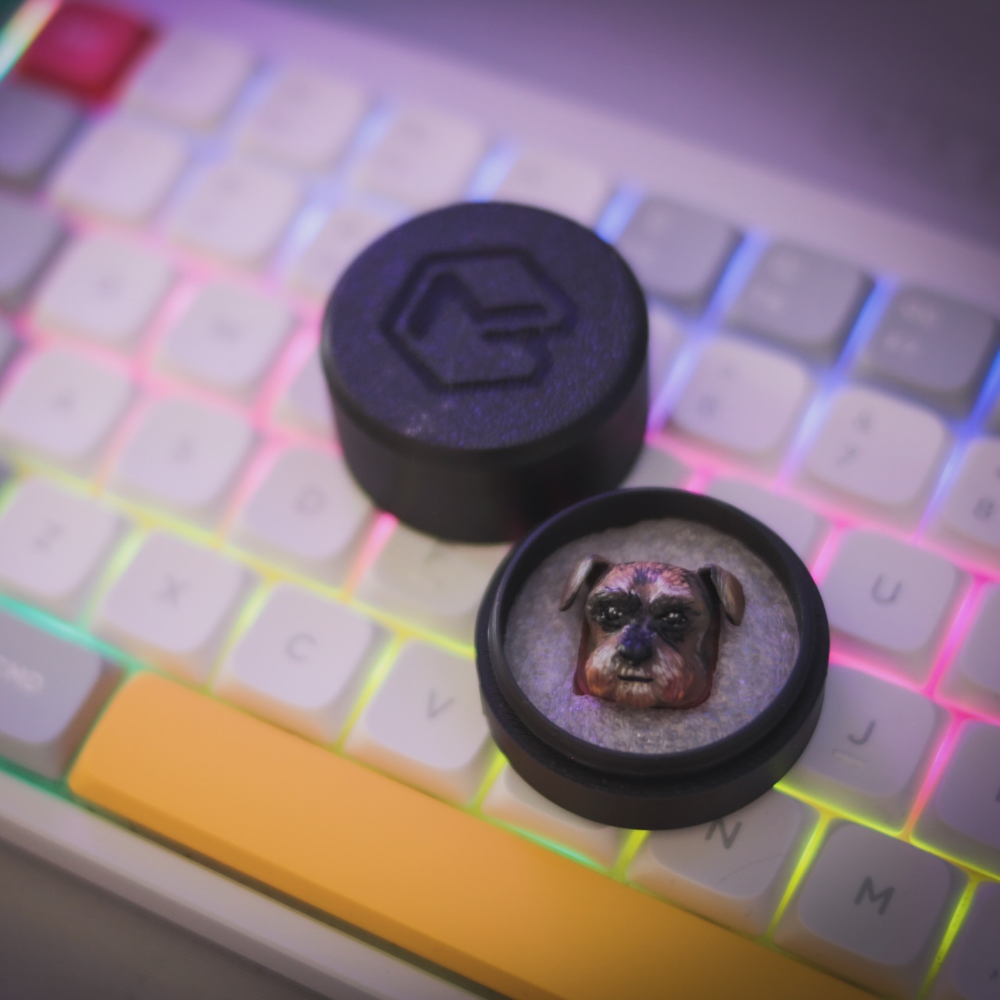 MODBOX