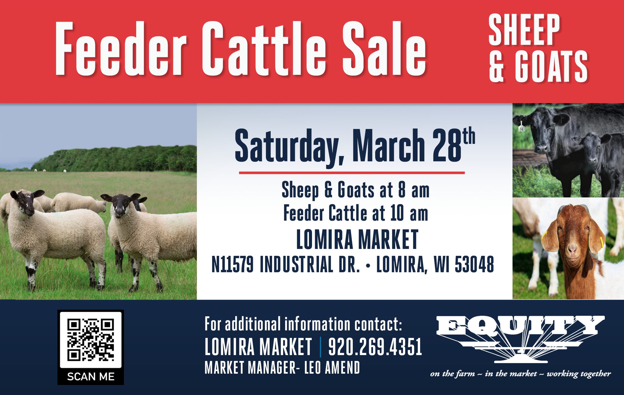Equity's Lomira Market will be having a feeder cattle AND Special