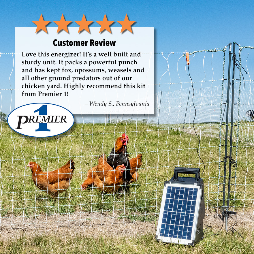 Solar Electric Fence For Goats
