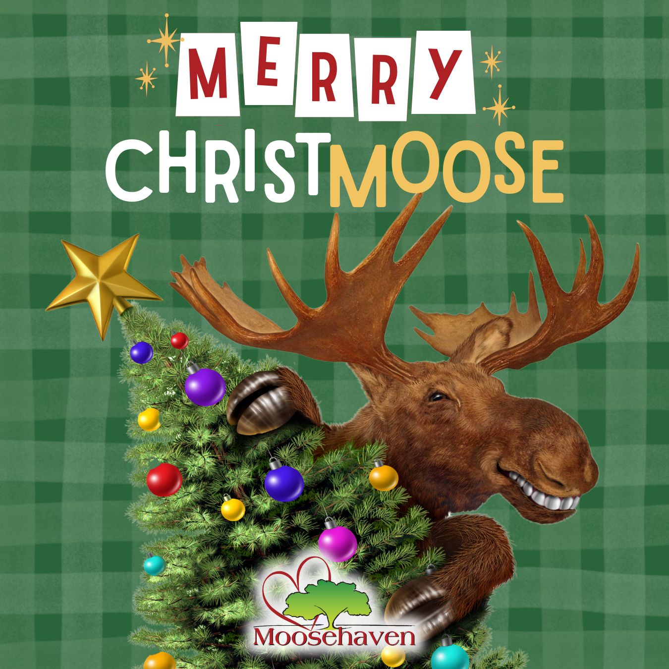 Moosehaven - Merry Christmoose from all of us at... | Facebook