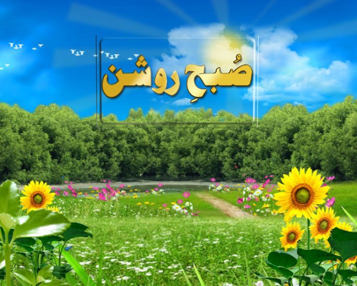 PTV Home