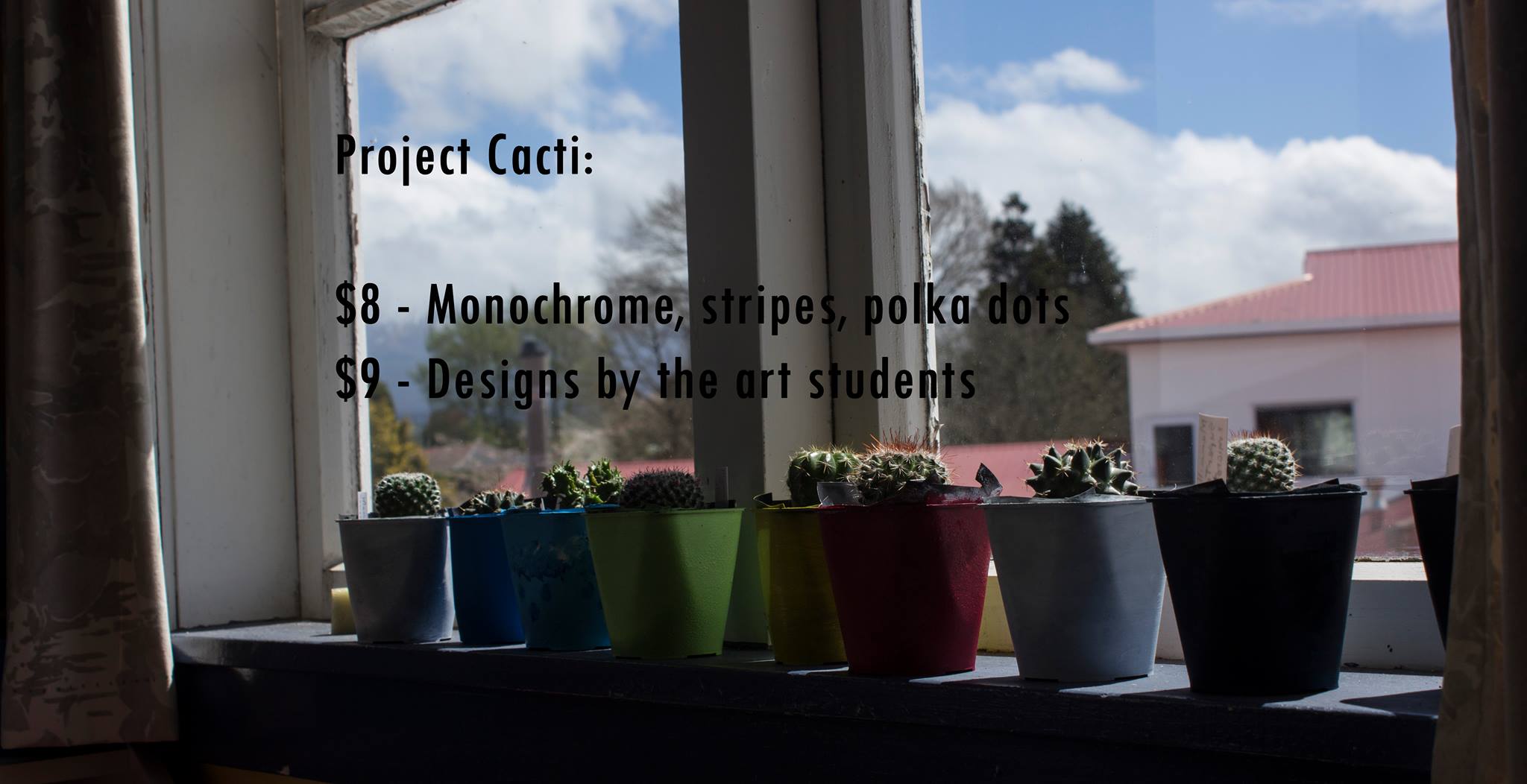 Project Cacti