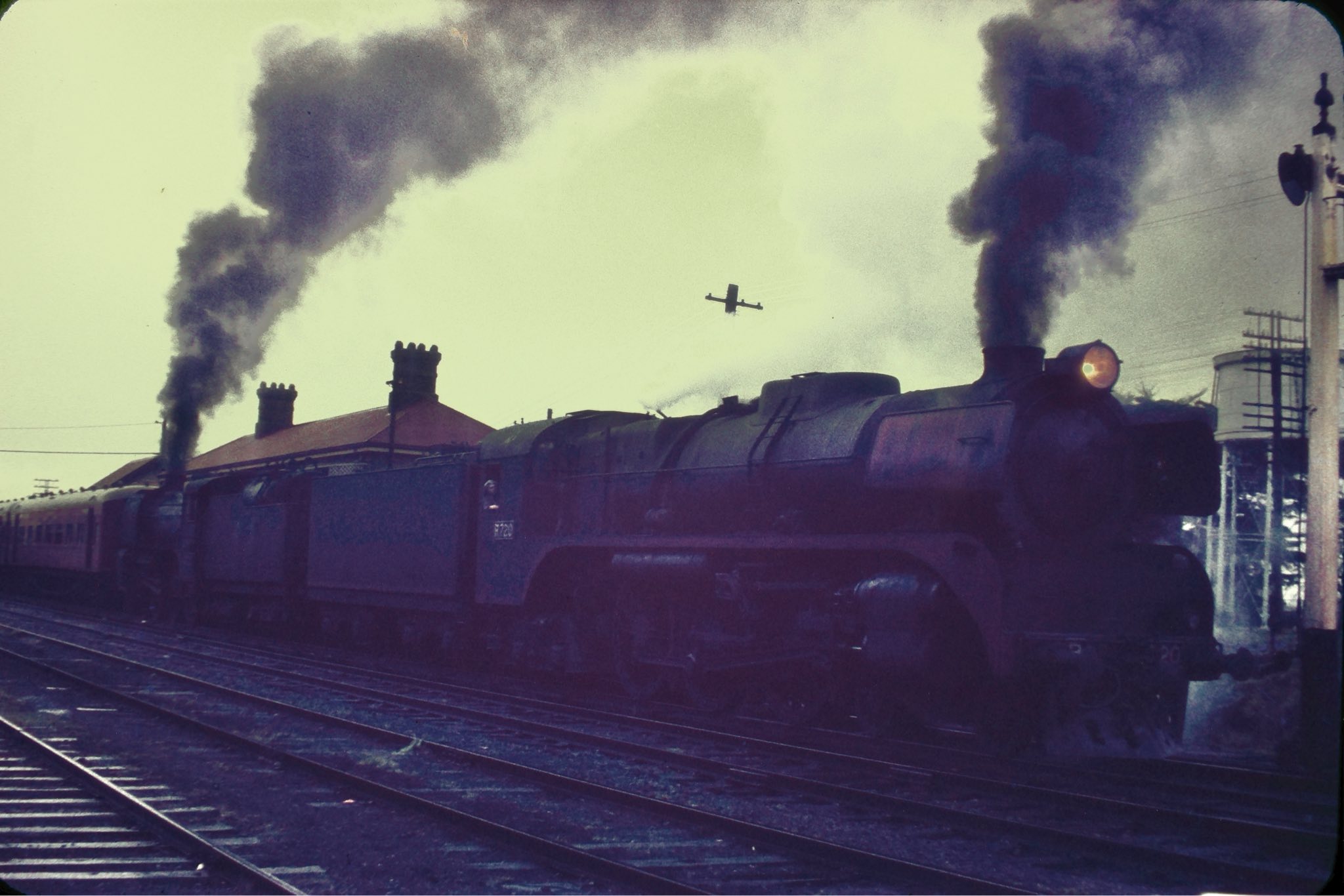 Redhen334 - Following on from yesterday’s photo, I have since ...