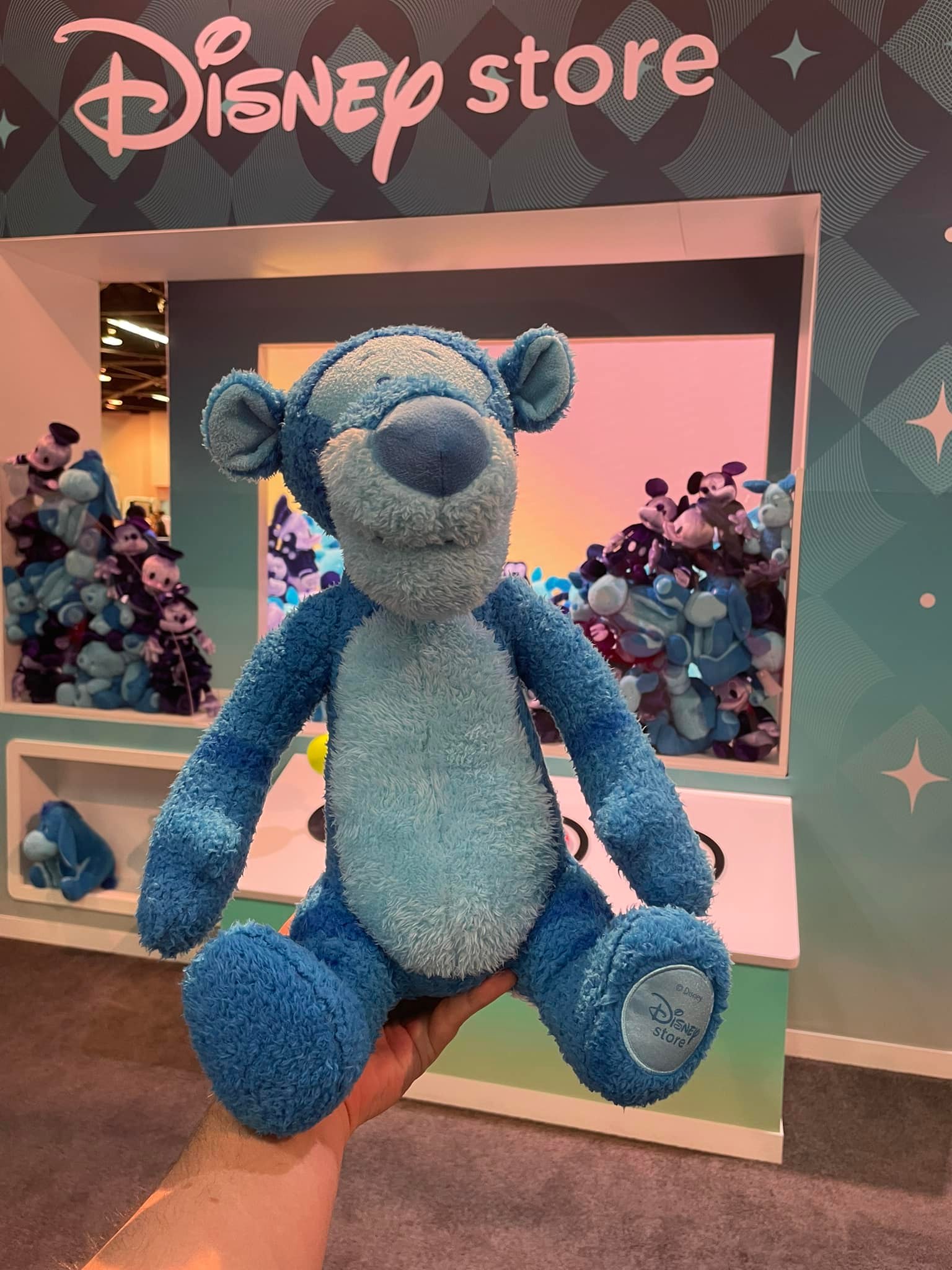 ディズニーランド⭐️コレクション Disney Store - Disney Store added a new photo.
