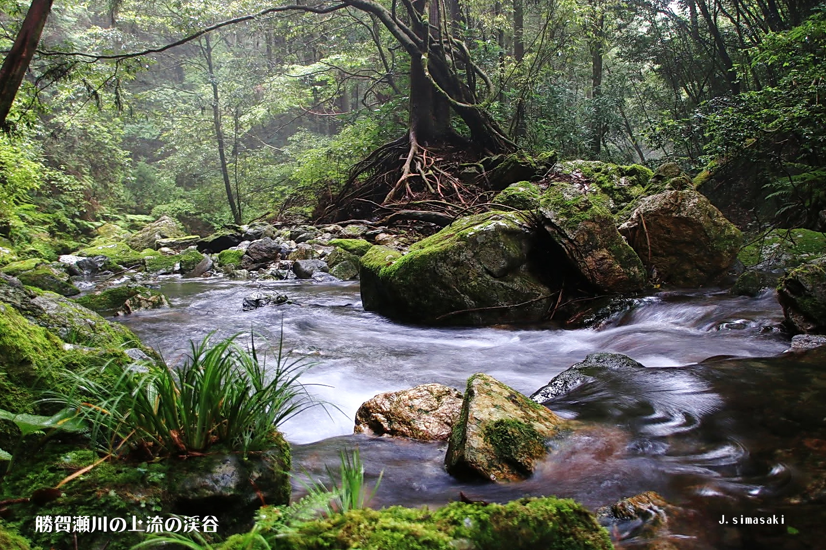 仁淀川いいね！ - 毎年水難事故があります。 出来れば いの町で水泳