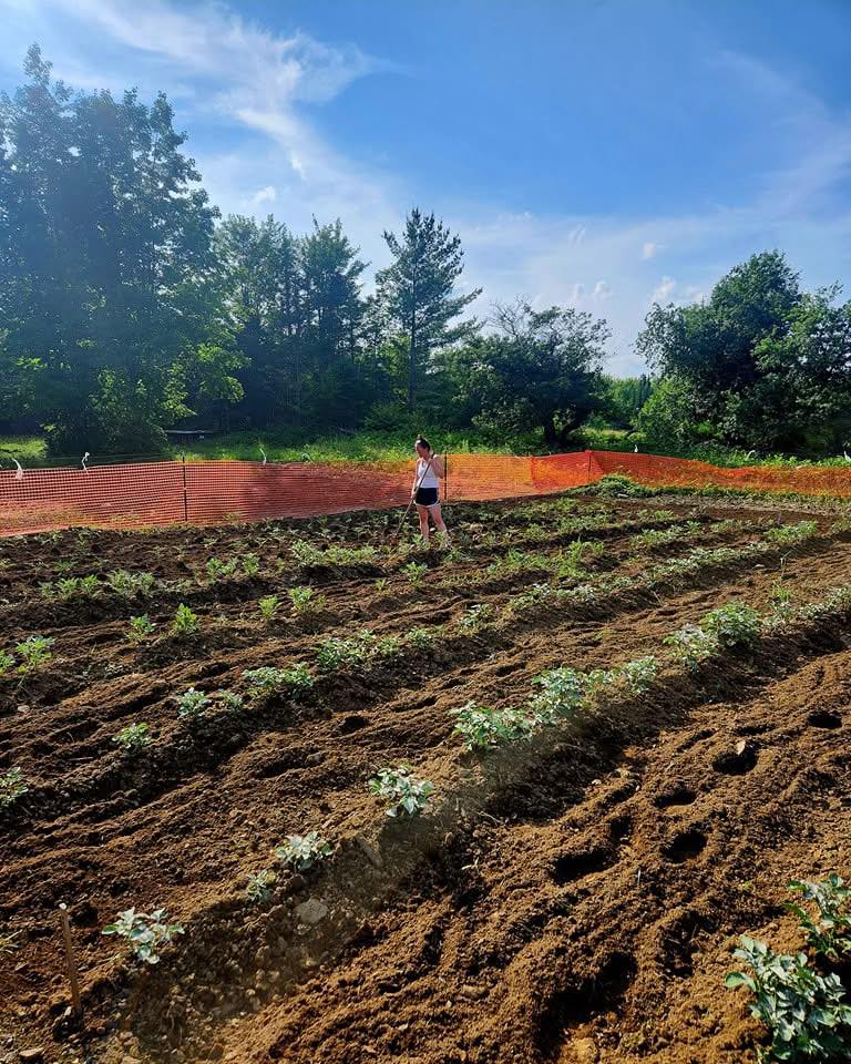 The Lone Pine Farm | Dover-Foxcroft ME