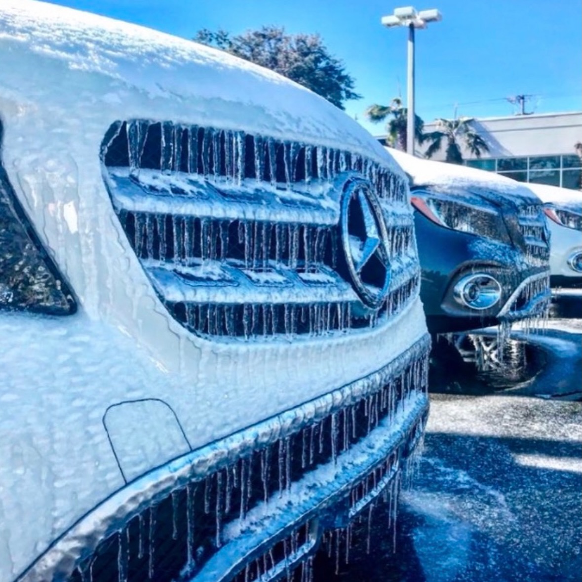 Critz Auto Group