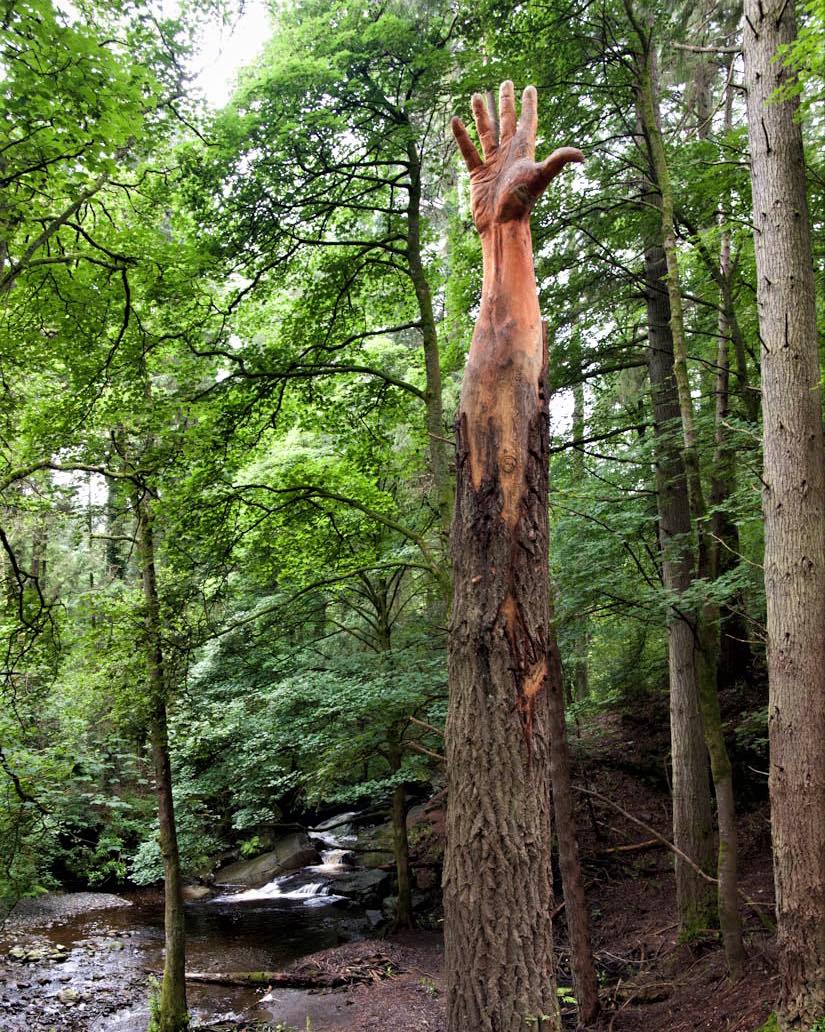 Simon O'Rourke - Tree... - Simon O'Rourke - Tree Carving