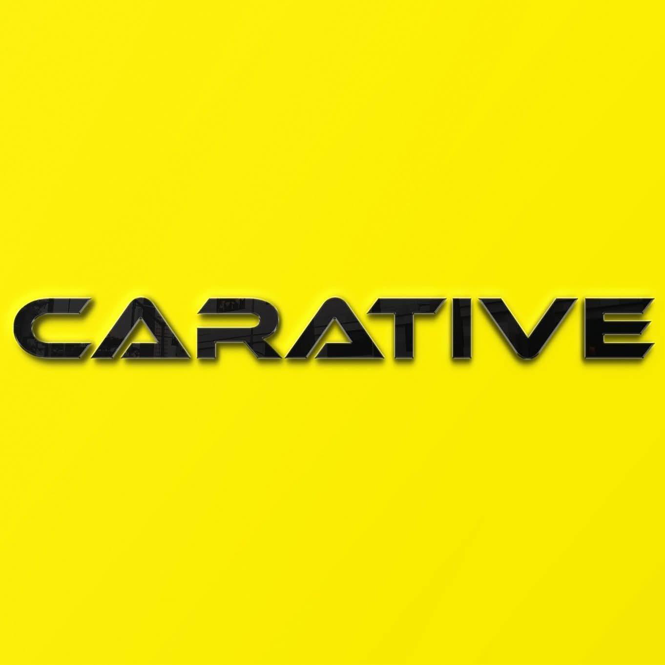Thermostat working | Carative