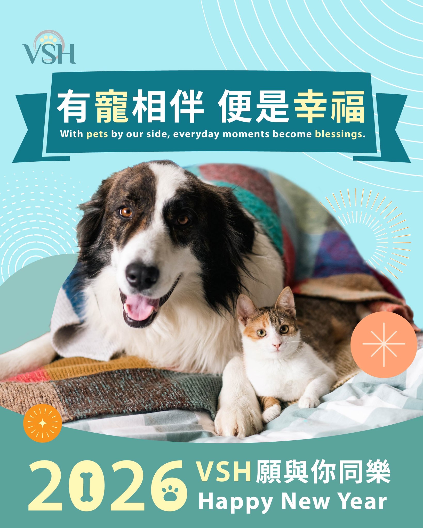 Veterinary Specialty Hospital of Hong Kong - VSH - 香港專科獸醫醫院 | Ho Man Tin