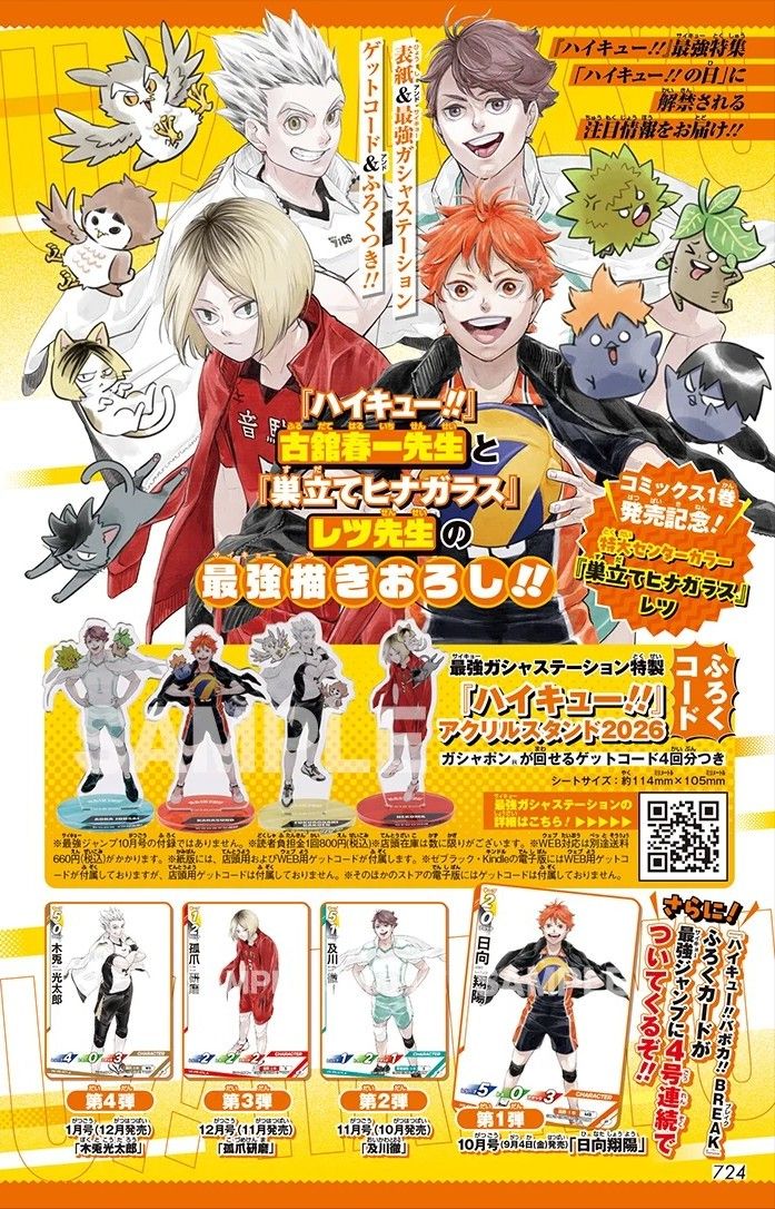 ハイキュー 排球四季景 ～夏ノ陣～ 影山飛雄 30点 ハイキュー 排球四季