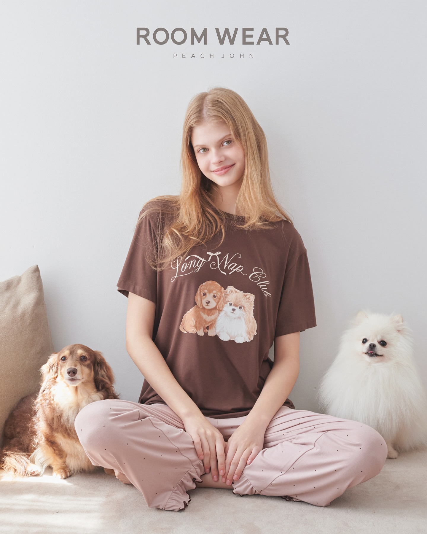 🐾 𝑫𝑨𝑪𝑯𝑺𝑯𝑼𝑵𝑫 & 𝑷𝑶𝑴𝑬𝑹𝑨𝑵𝑰𝑨𝑵 𝑪𝑶𝑳𝑳𝑬𝑪𝑻𝑰𝑶𝑵