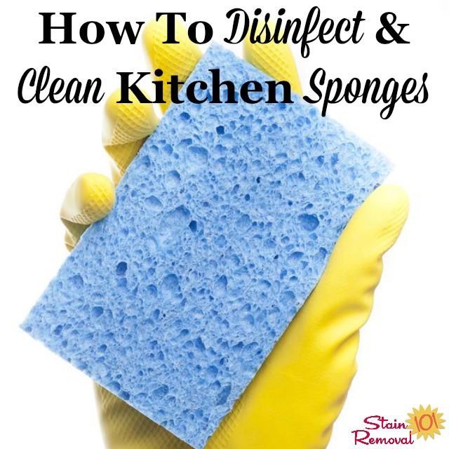 How to Disinfect a Kitchen Sponge: Ultimate Guide
