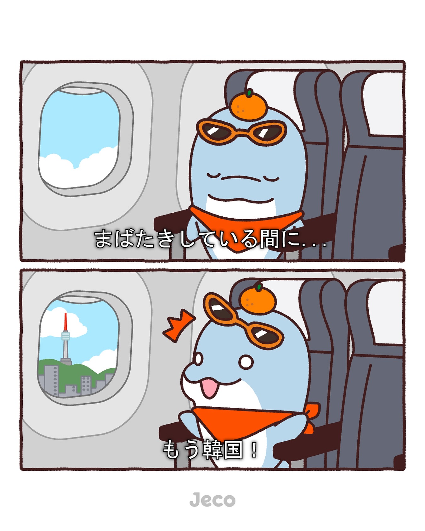 日本語OK！】チェジュ航空のお問い合わせはHI JECOに🍊✨ 韓国旅行を