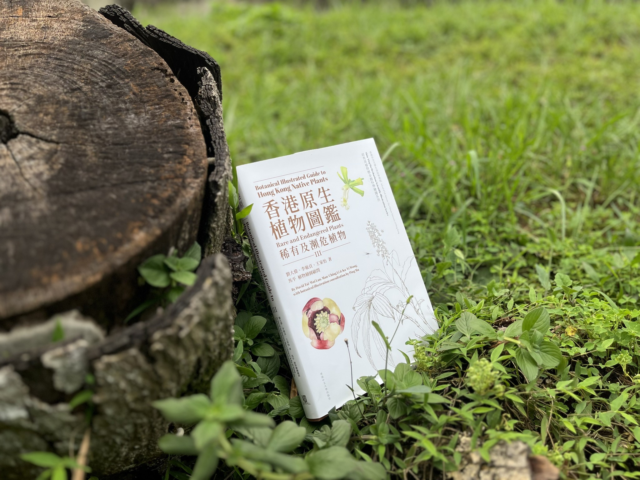 ◖最新出版◗ 《近代中國史綱》（重排本） 郭廷以著《近代中國史綱》是