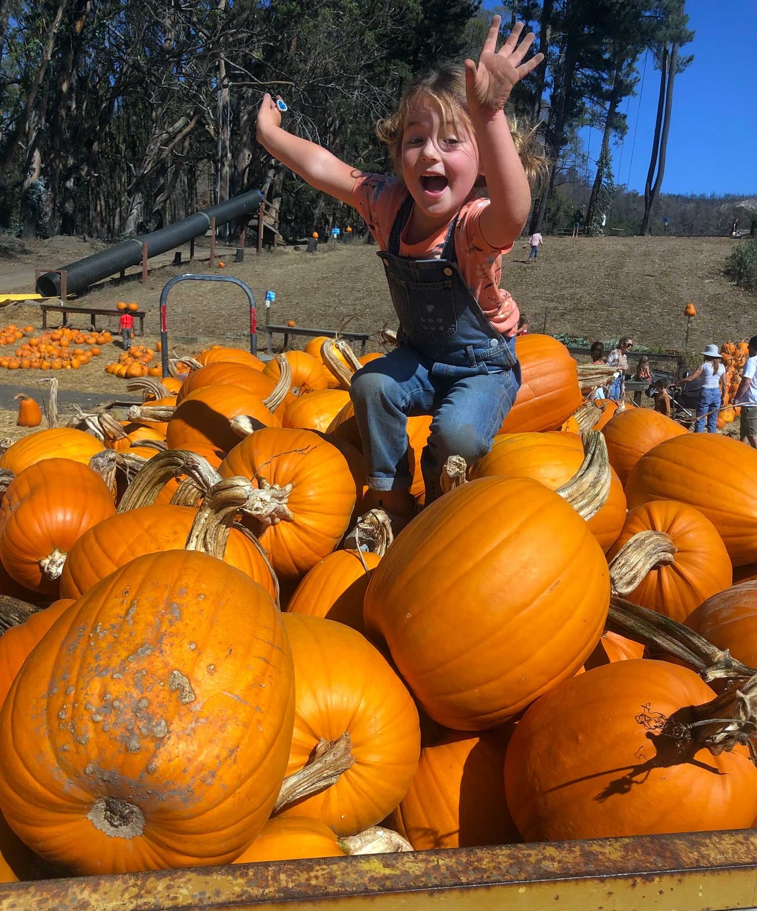 🍂 Fall Festival starts TOMORROW! 🎃🌻 Join us every weekend through ...