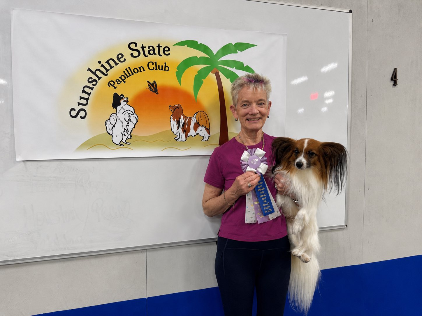 Sunshine State Papillon Club (@sunshinestpaps) • Facebook