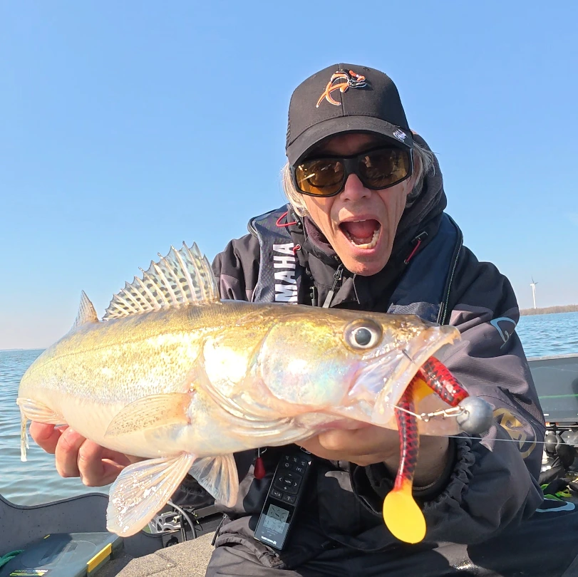 delalande fishing lure Shad GT 9cm Soft Plastic 1pc  MatchFishing Lure - #delalandegtshad delivering Zander.