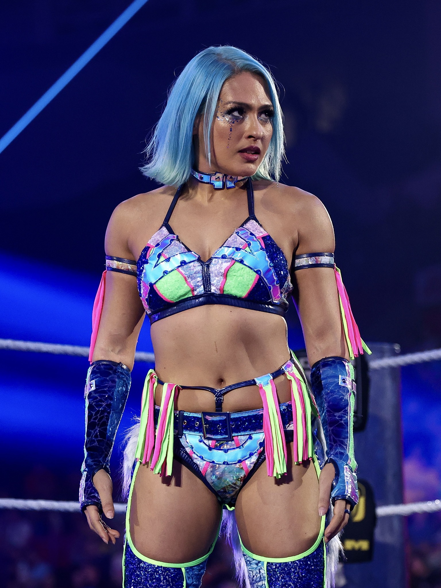トイフェア限定　サージェント・スローター　WWEクラシックスーパースター　激レア SmackDownでジュリアとラッシュ・レジェンドが激突🔥サマースラムで行