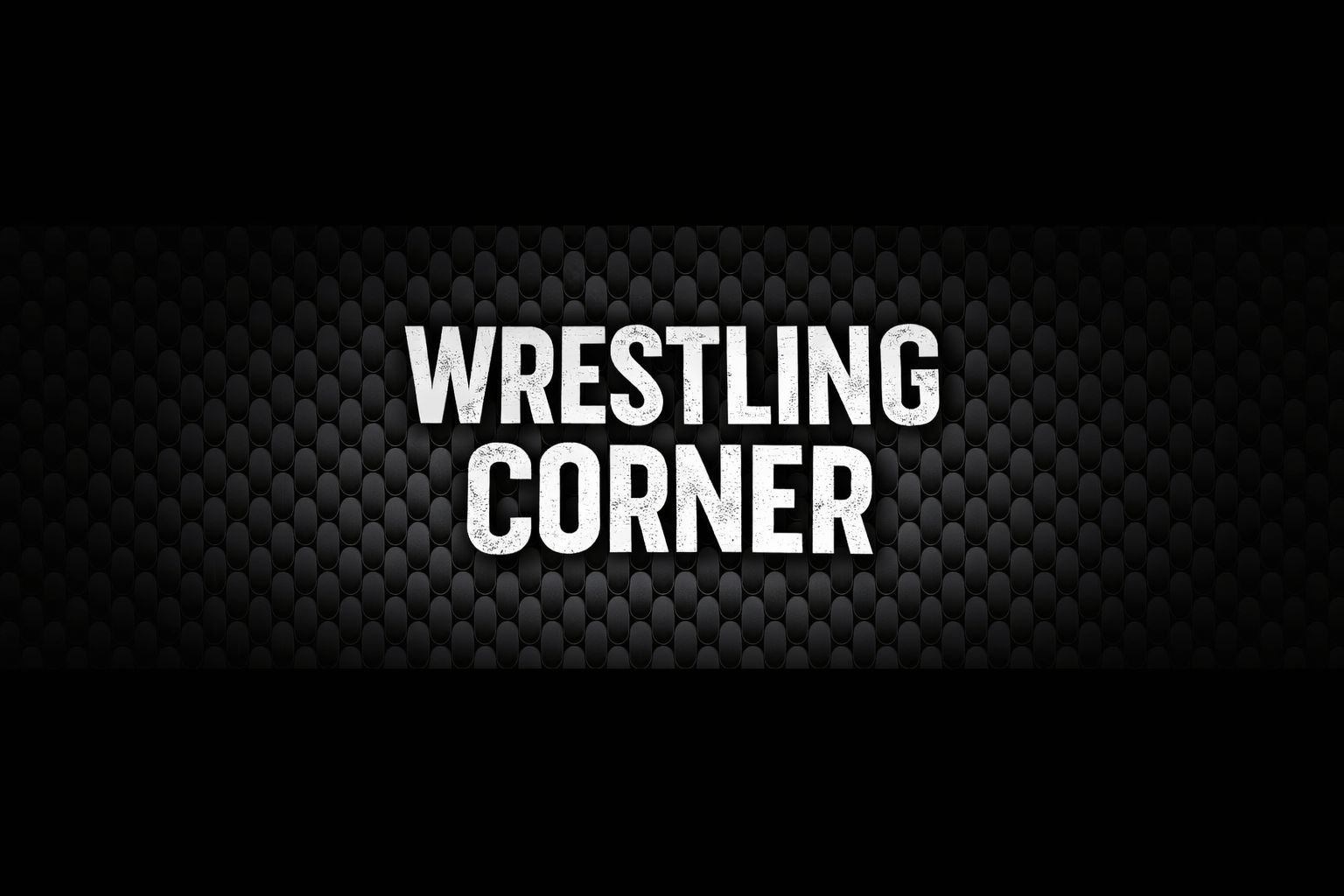 AEW has updated the renders of... - Pro Wrestling Unlimited | Facebook