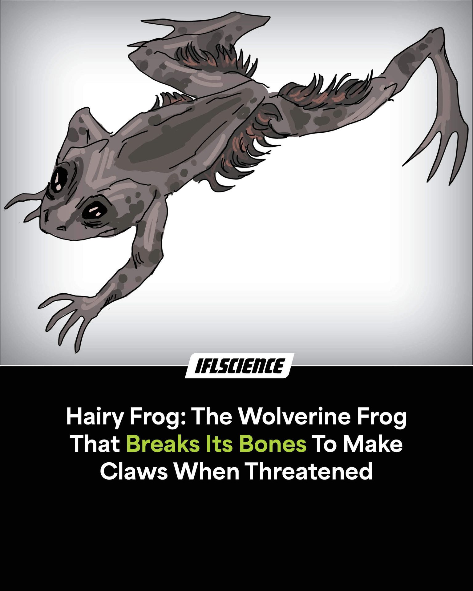 IFLScience - No wrath burns hotter than that of a furry frog. | Facebook