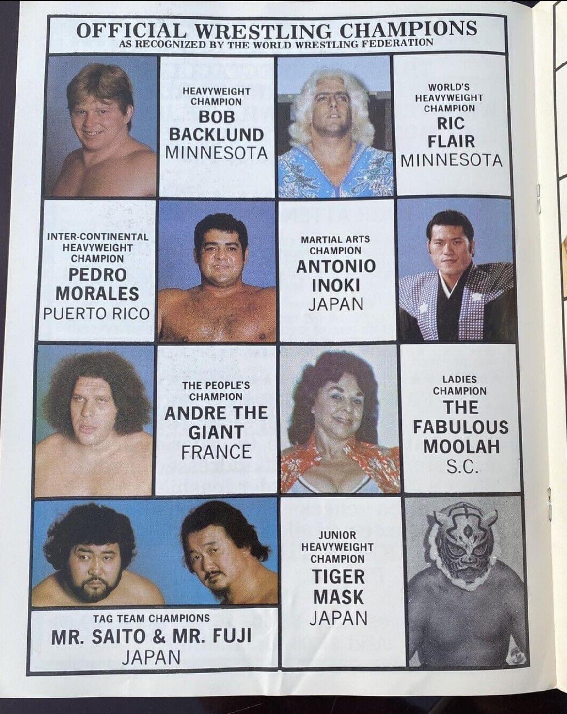 Pro Wrestling Champions in 1982 as recognized by the WWF 👀