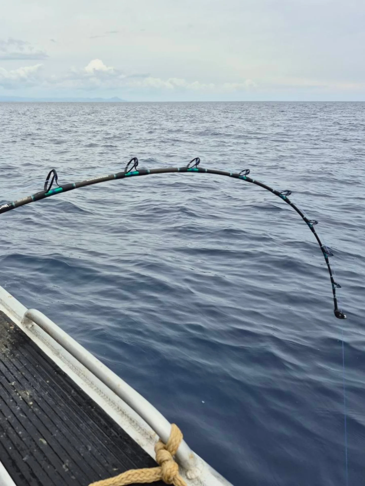 Offshore Custom Rods... - Offshore Custom Rods New Zealand