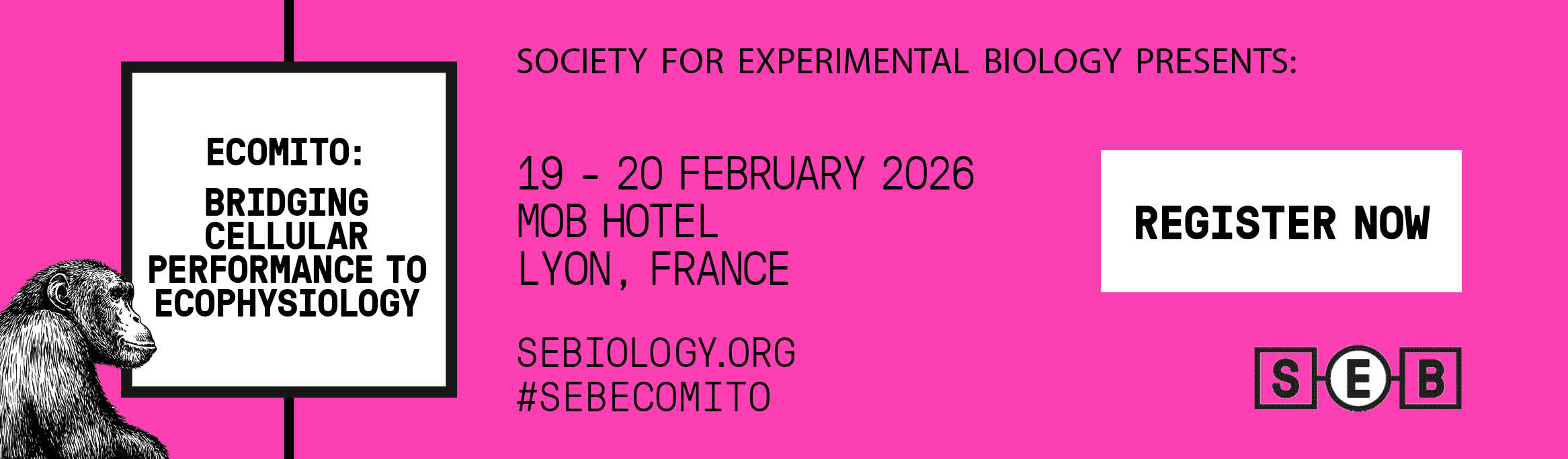 Society - The dedicated web pages for the SEB Annual Conference 2026 in ...