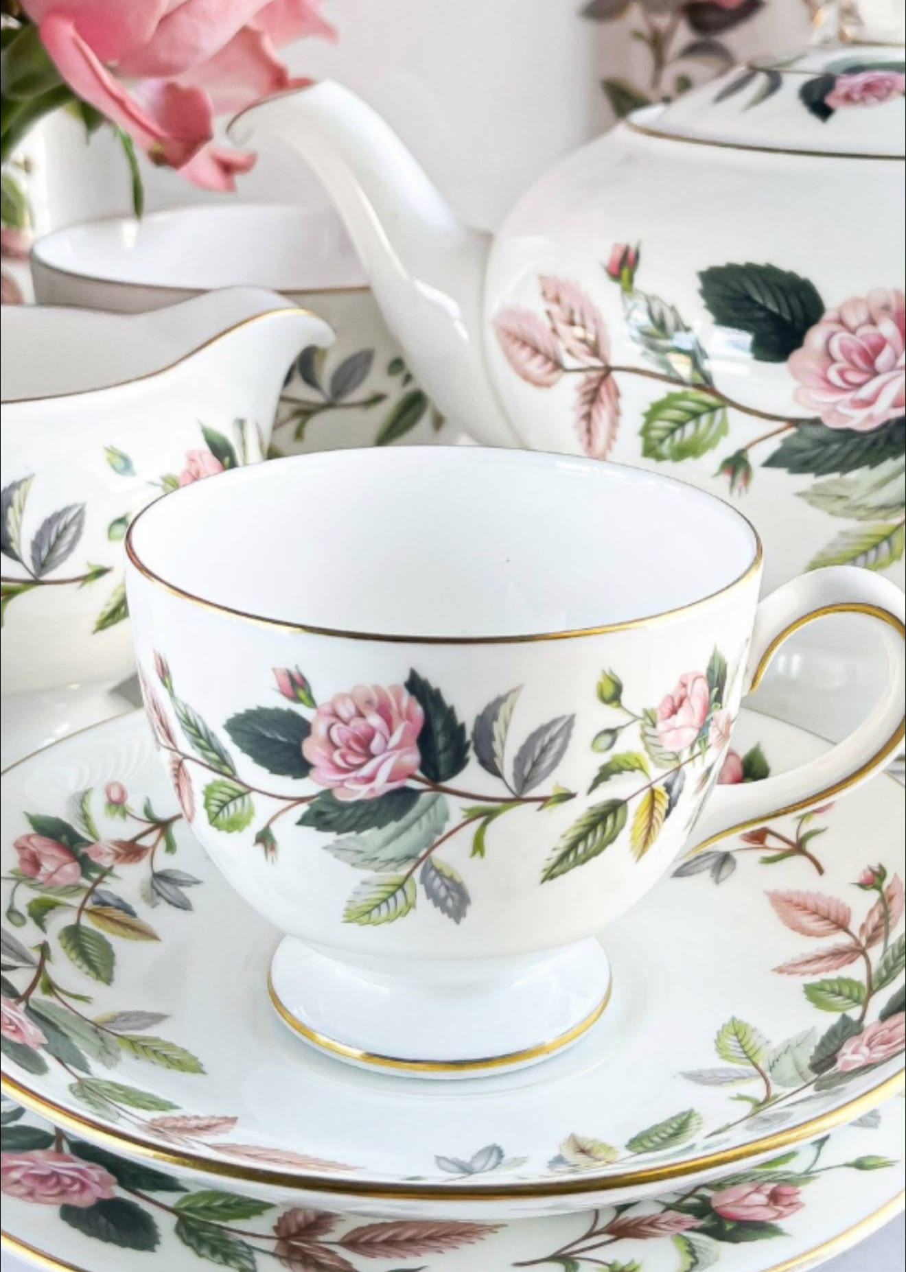 Wedgwood Hathaway Rose🥀💖🌸
