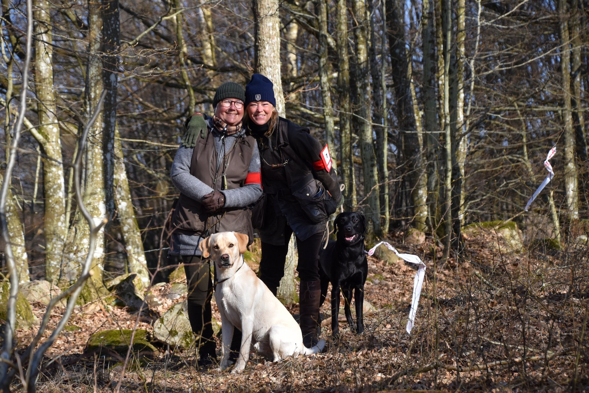 LineUp Gundogs | Ljungbyhed