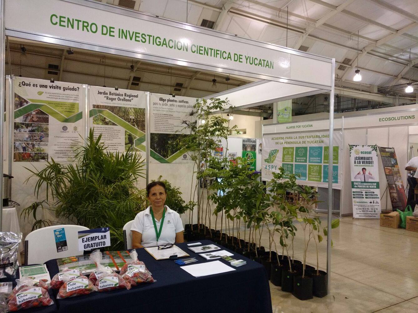 CICY... - CICY - Centro de Investigación Científica de Yucatán